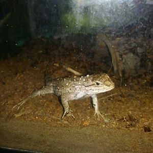 Meet your Posher, Rena